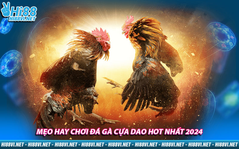 Mẹo hay chơi đá gà cựa dao hot nhất 2024