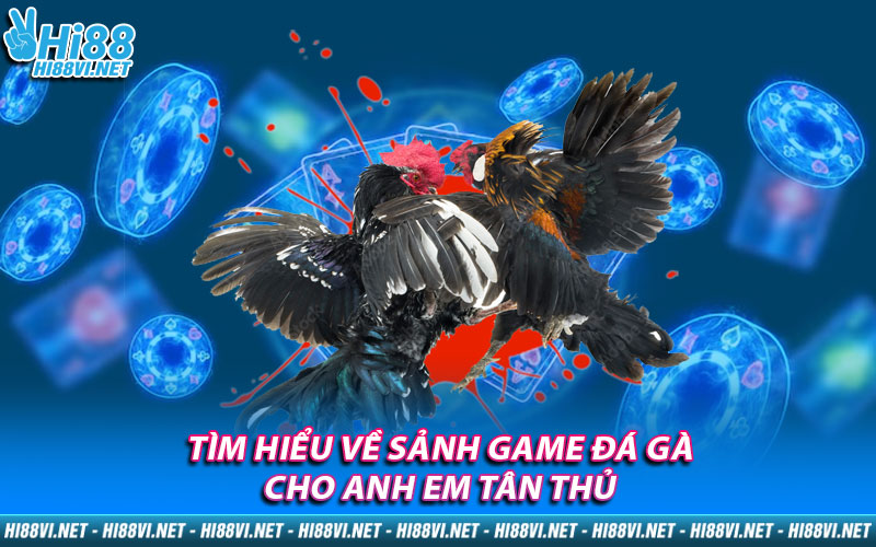 Tìm hiểu về sảnh game đá gà cho anh em tân thủ