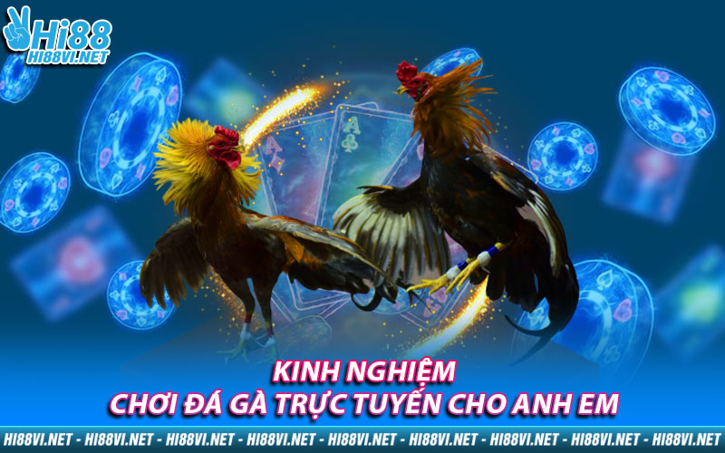 Kinh nghiệm chơi đá gà trực tuyến cho anh em